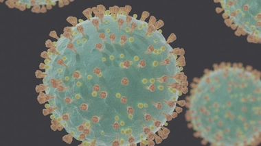 On commence à peine à découvrir les effets à long terme du coronavirus