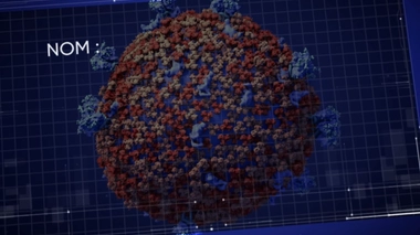 La carte d'identité du coronavirus