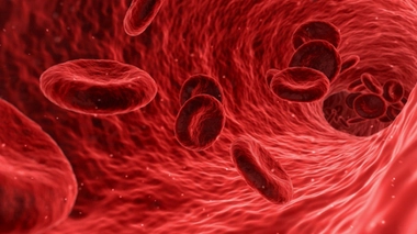 Pourquoi les personnes de groupe sanguin O seraient moins à risque de coronavirus ?