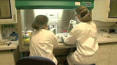 Cellules souches : la médecine de demain ?