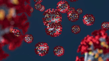 Image d'illustration.