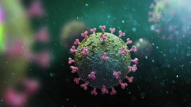 Image d'illustration.