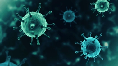 Image d'illustration.