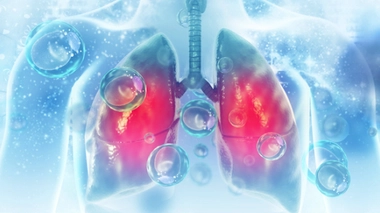 Image d'illustration.