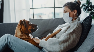 Coronavirus : les animaux de compagnie a priori peu touchés