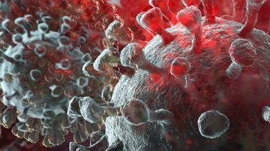 Image d'illustration.