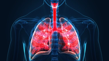 Image d'illustration.