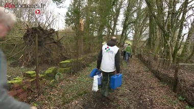 Samu de l'environnement : des spécialistes au service des particuliers