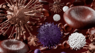 Image d'illustration. Virus, globules rouges et globules blancs.
