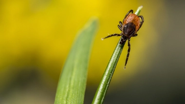 Image d'illustration.