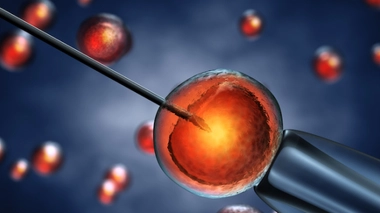 Image d'illustration.