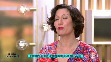 Déconfinement : pensons à protéger la biodiversité