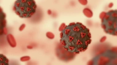 Image d'illustration.