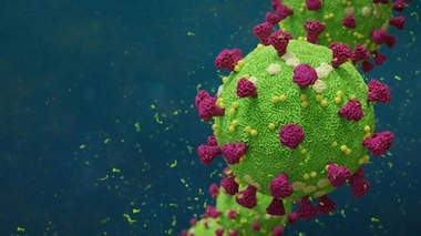 Image d'illustration.