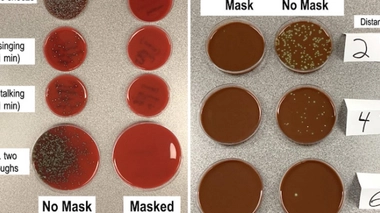 Photos des expériences du Dr Rich Davis postées sur son compte Twitter.
