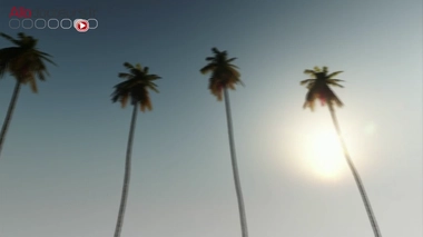 Evadez-vous avec une salade californienne