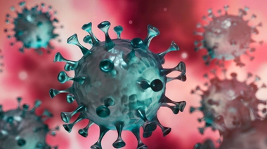 5 ème vague de COVID-19  : une déferlante en demi-teinte ?