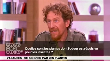 Des plantes qui éloignent les insectes ?