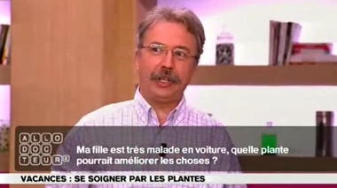 Une plante pour soulager le mal des transports ?