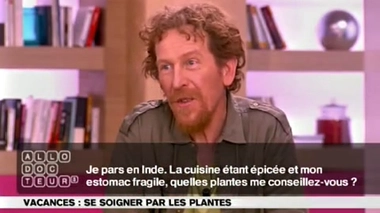 Des plantes pour protéger l'estomac ?