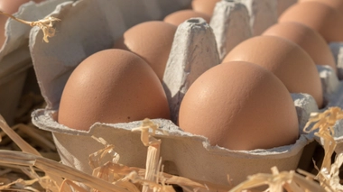 Image d'illustration.