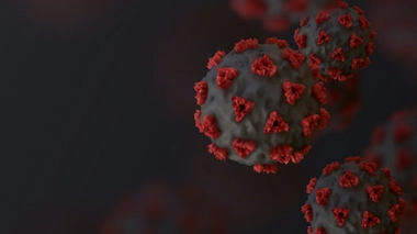 Image d'illustration.