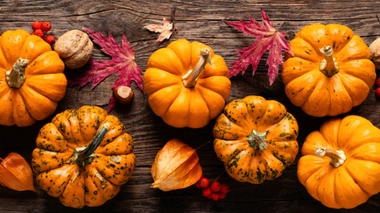 Ne confondez pas les courges comestibles et les courges amères, décoratives, qui peuvent entraîner des intoxications alimentaires sévères.