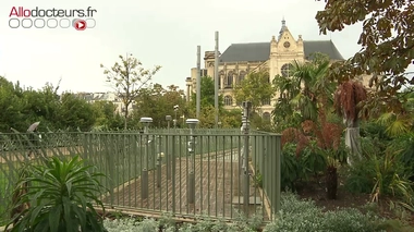 Pollution : bientôt un nouvel indice de la qualité de l’air