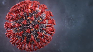 Mutation du virus : les épidémiologistes s’inquiètent