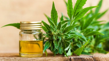 Image d'illustration.