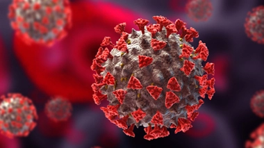 Image d'illustration.