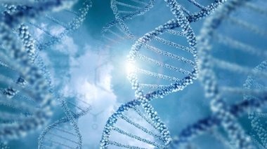 Image d'illustration.