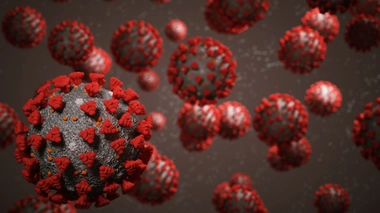 L'Afrique du Sud suspend sa campagne de vaccination avec Astrazeneca