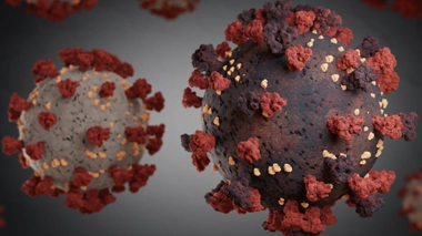 Infographies - Près de 22 000 nouveaux cas de Covid en 24h