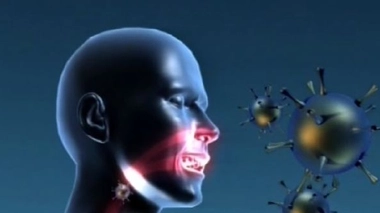 Grippe A (H1N1) : fin de la pandémie selon l'OMS