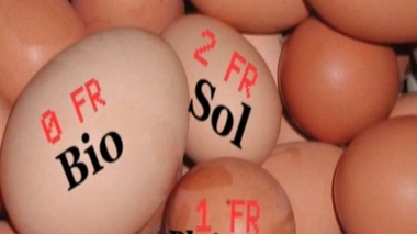 Etats-Unis : rappel massif d'oeufs contaminés