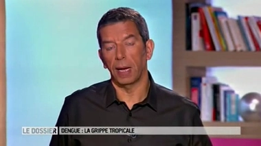 Dengue, la grippe venue des tropiques