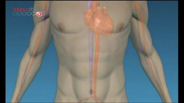 Hôpital : fermeture administrative d’un service du CHR de Metz