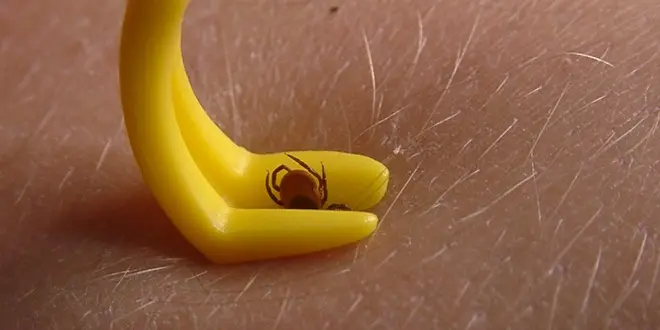 Utilisation d'un tire-tique