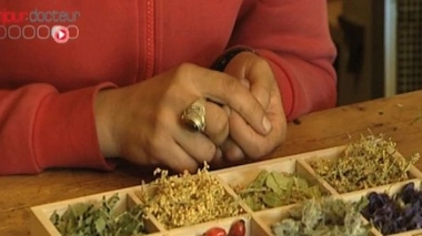 Ch@t : Se préparer à l'hiver avec les plantes