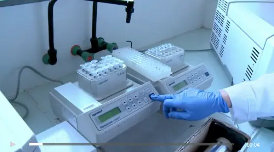 Recherche sur les cancers : tout s'accélère