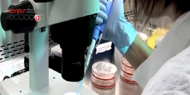 Des cellules souches adultes pour régénérer l'intestin