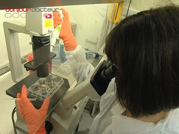 Un nouveau traitement contre la tuberculose à l'étude