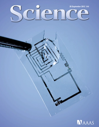 Des implants électroniques biodégradables