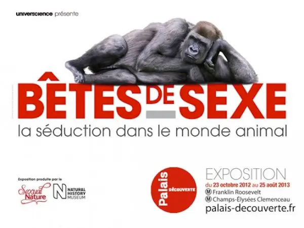 Exposition ''Bêtes de sexe''