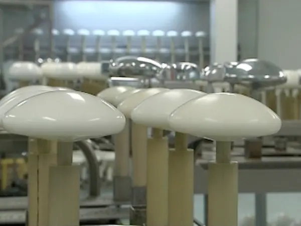 La société TÜV, chargée du contrôle des prothèses PIP, n'aurait pas mené à bien son travail