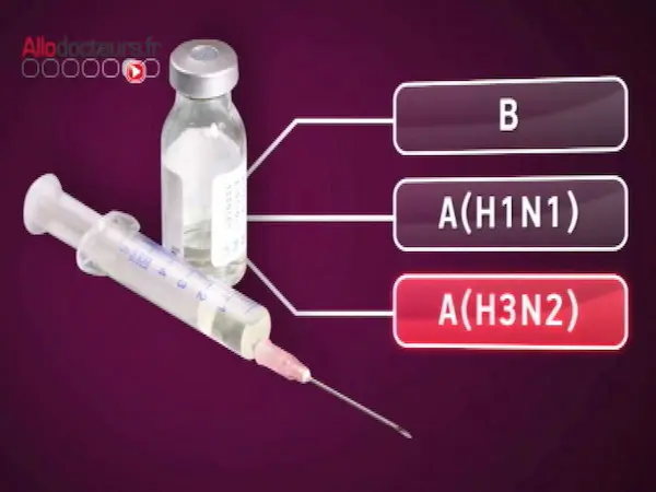 Le vaccin de la grippe hivernale 2012/13 fabriqué à partir de trois souches
