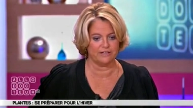 Plantes : un cocktail vitaminé pour le matin ?