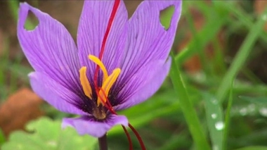 Affronter l'hiver sans médicaments