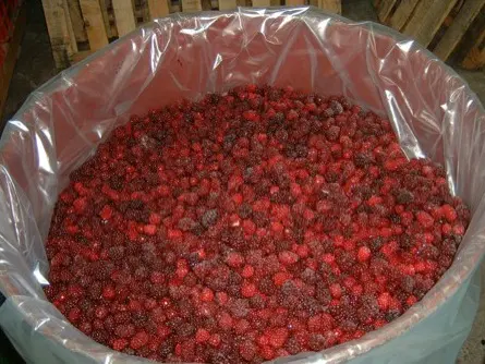 La mûre tropicale des montagnes contient des antioxydants et des polyphénols